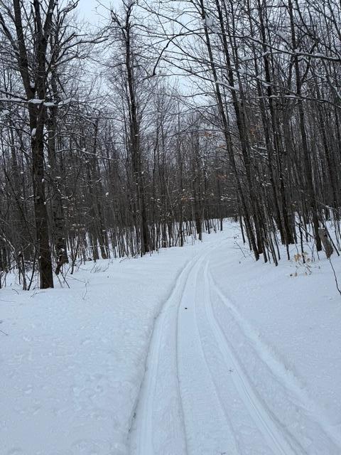 8453/8455 White Road