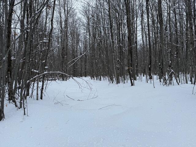 8453/8455 White Road