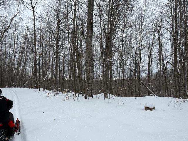 8453/8455 White Road