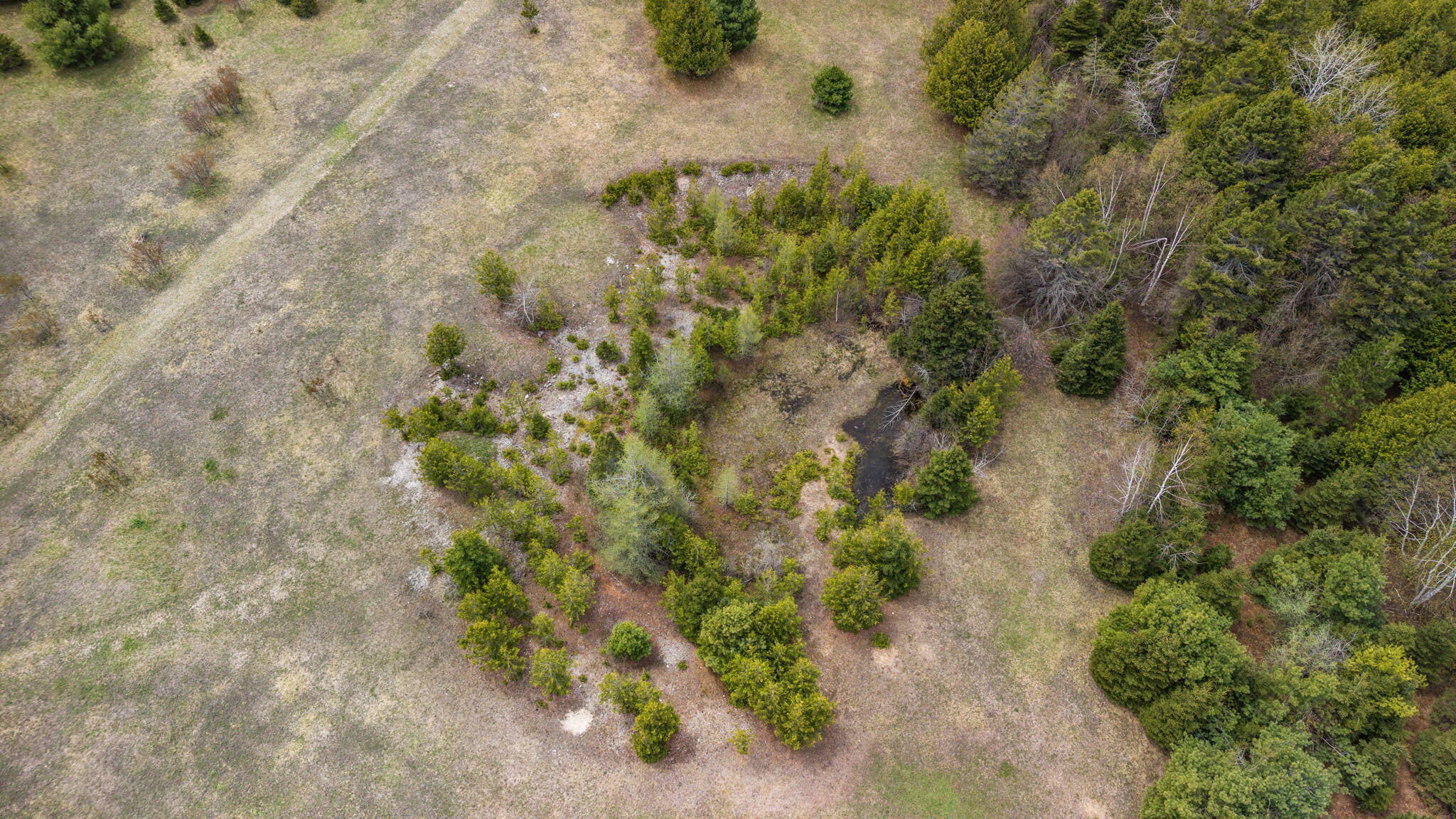 14325 Paradise Lake, 030-019-300-001-00