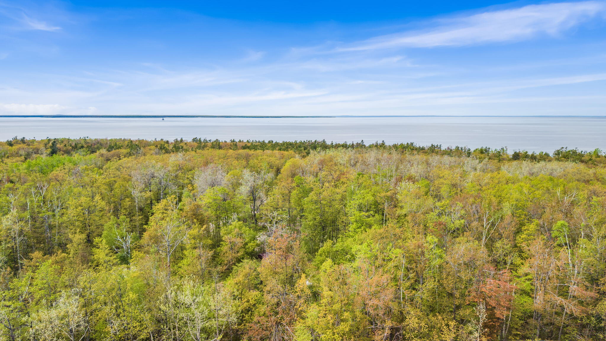 8299 Ridgeview Drive, & 8311