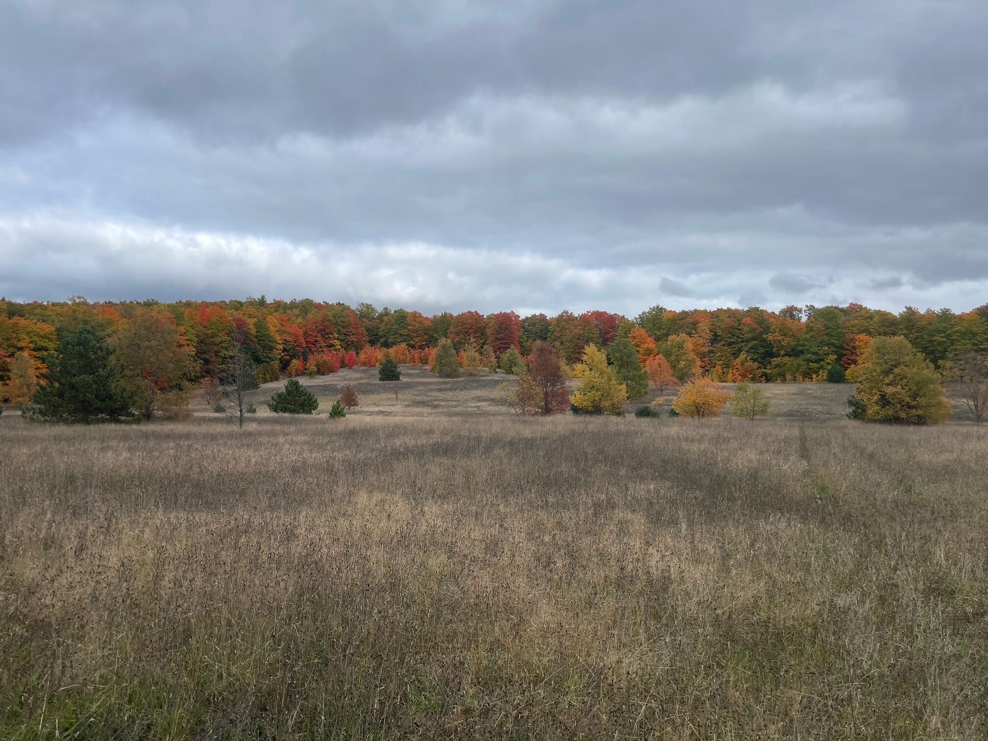 V/L 120 AC Holiday Rd