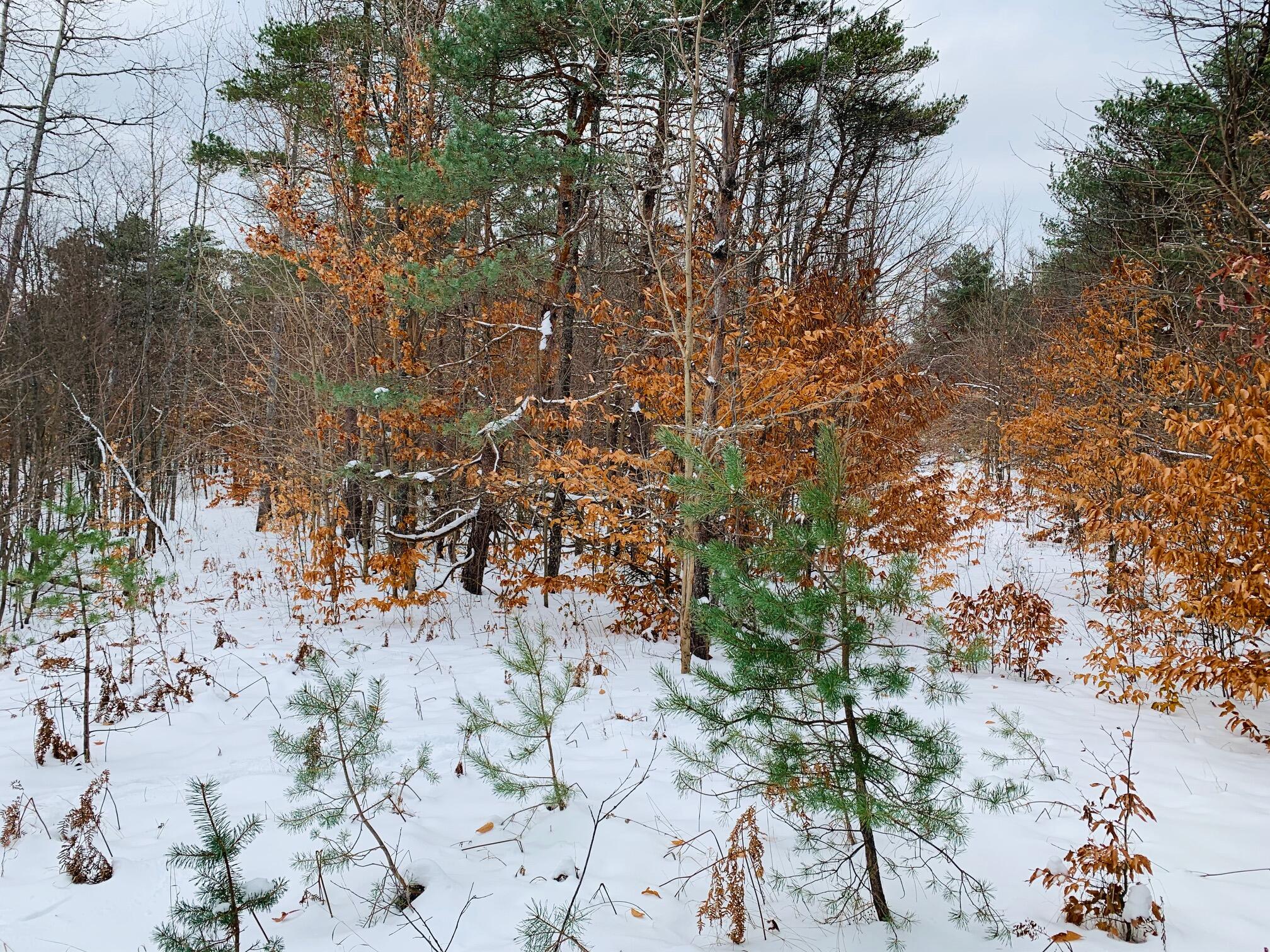 V/L 120 AC Holiday Rd