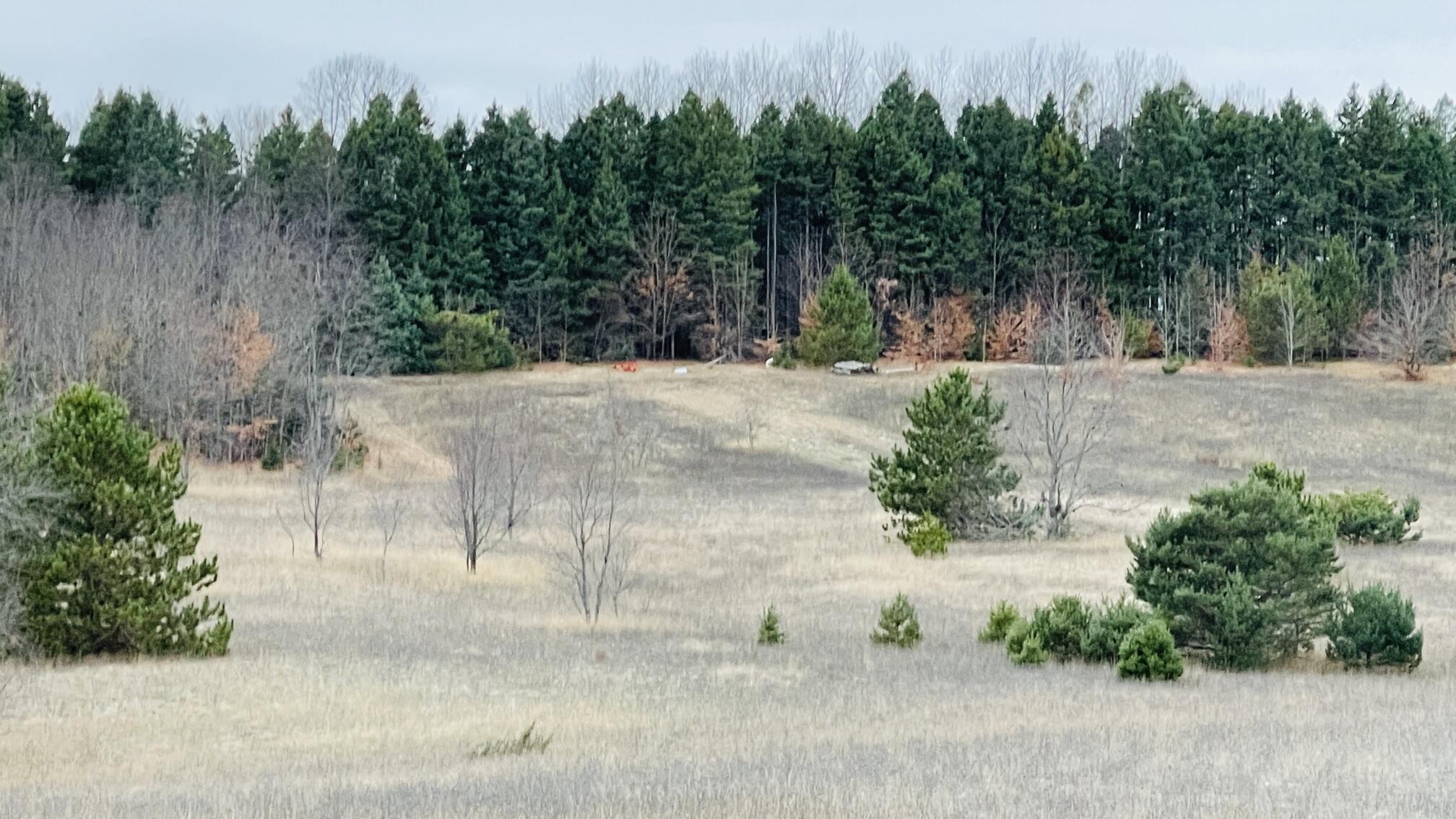 V/L 120 AC Holiday Rd