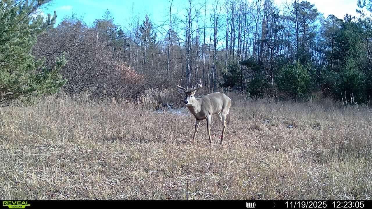 V/L 120 AC Holiday Rd