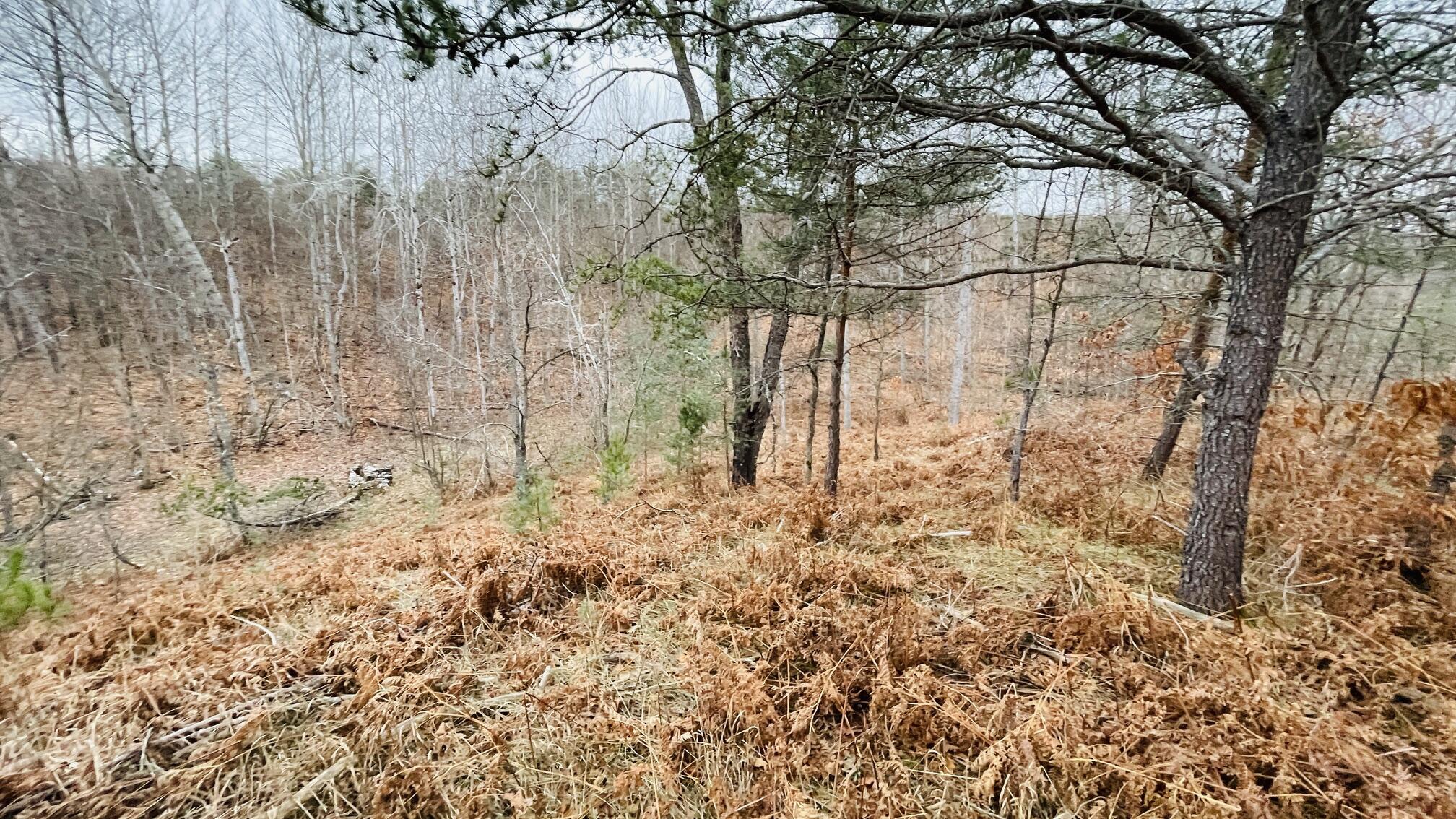 V/L 120 AC Holiday Rd