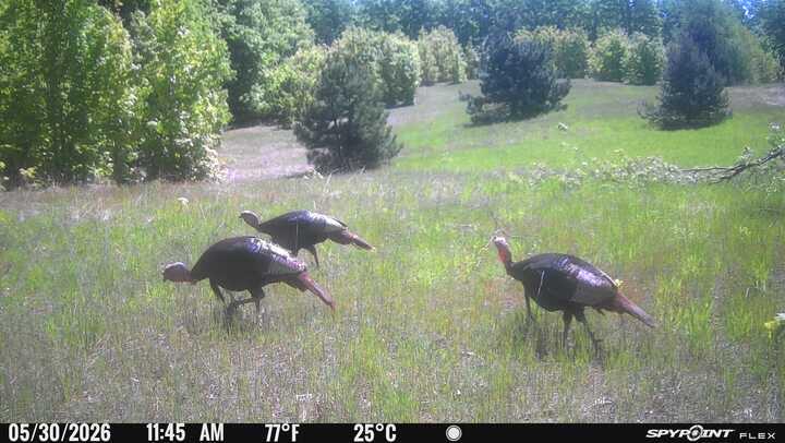 V/L 120 AC Holiday Rd
