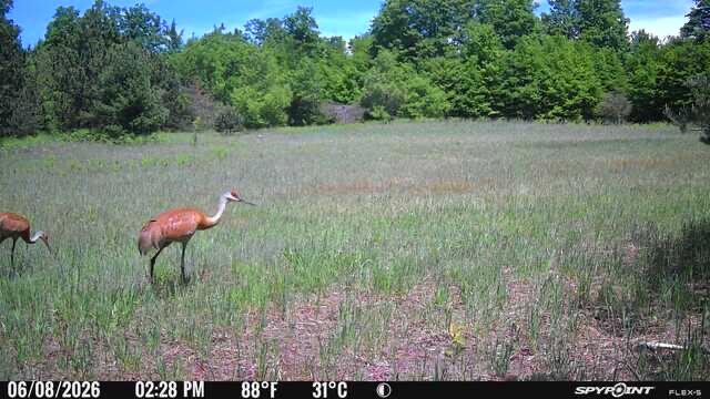 V/L 120 AC Holiday Rd