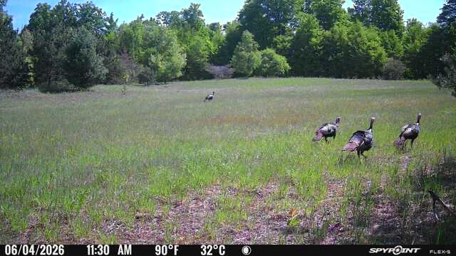 V/L 120 AC Holiday Rd