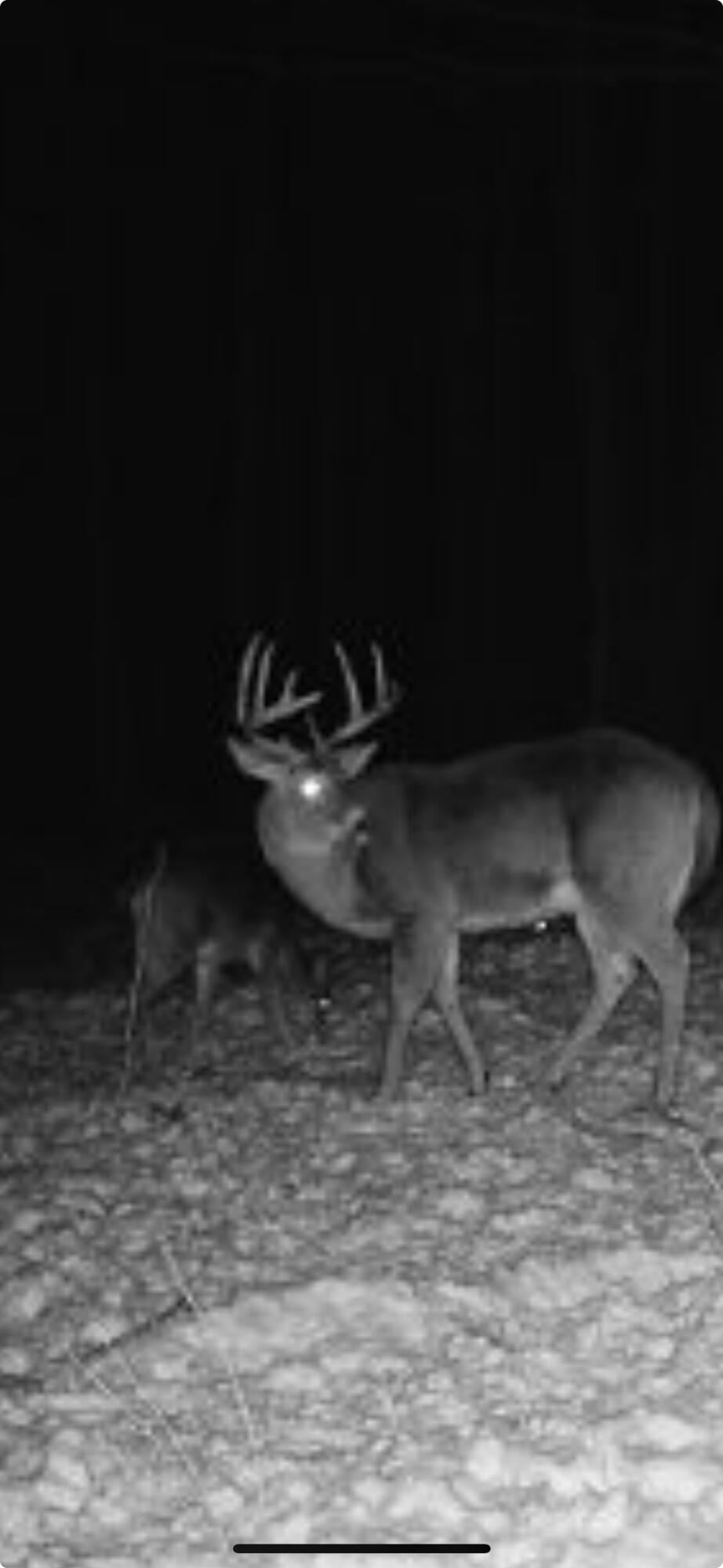 V/L 120 AC Holiday Rd