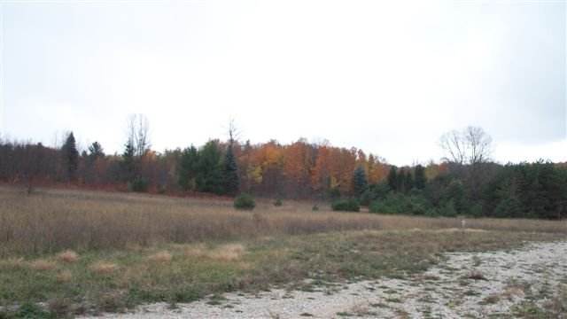 8818 Chickadee Lane Unit: Lot 11