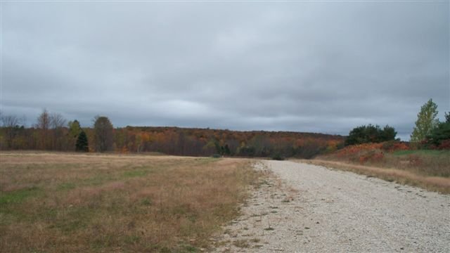 8118 Miller Rd. Unit: Lot 19