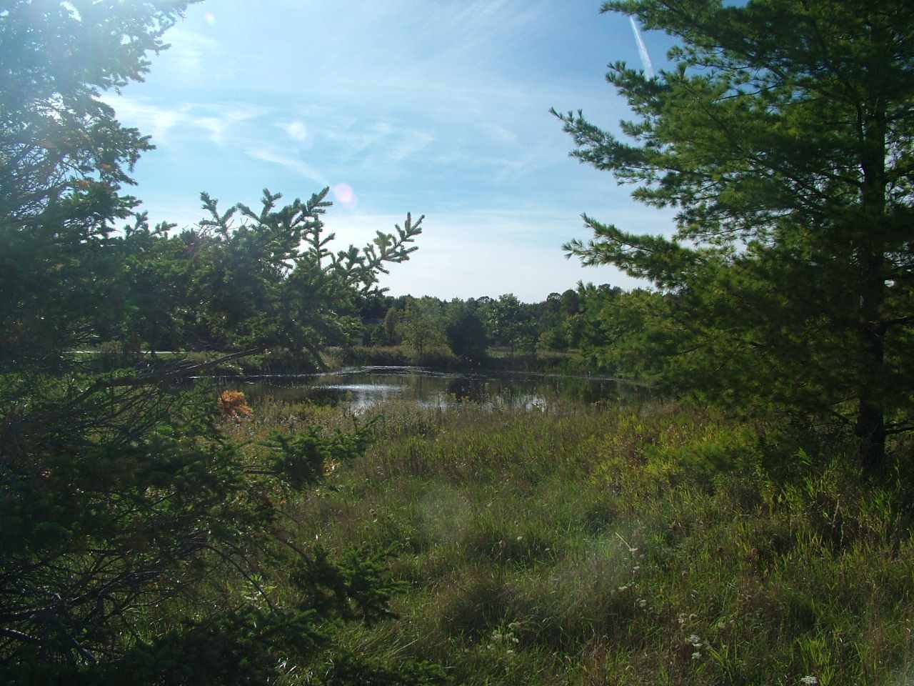 Lot 16 Old Orchard Road