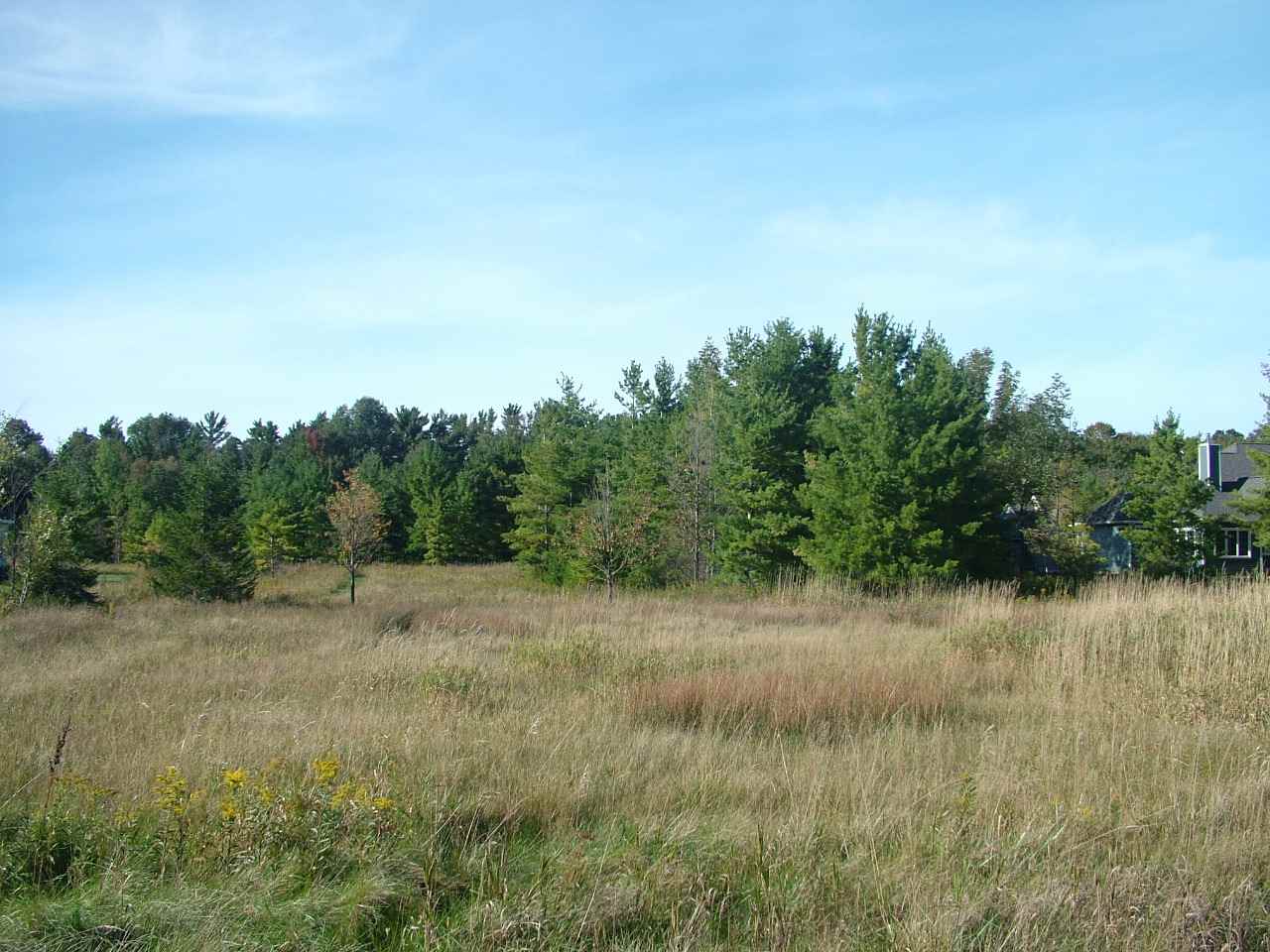 Lot 16 Old Orchard Road