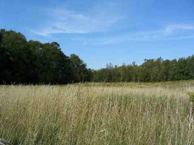 LOT C N Old US Highway 31