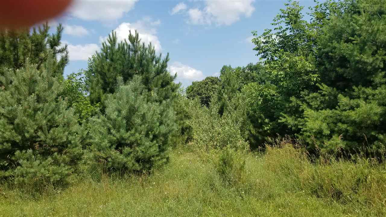 TBD Dublin Ln Unit: Parcel 105