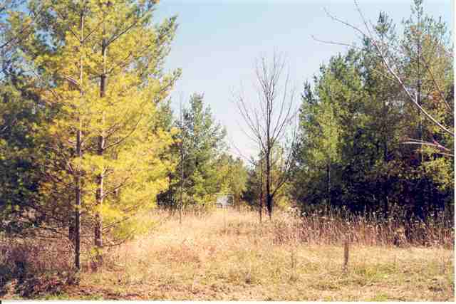 Lot 31 Weislik Court