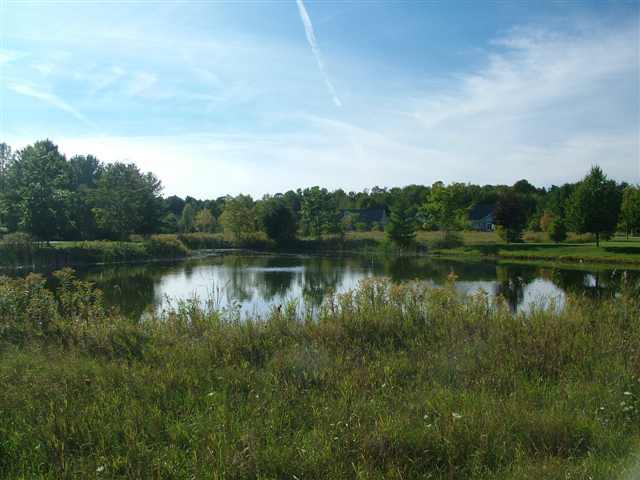 Lot 31 Weislik Court