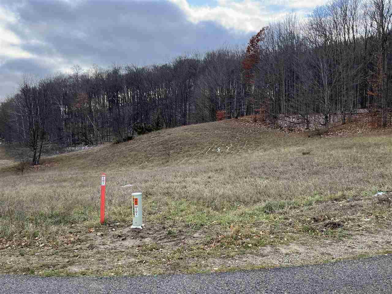 Lot 38 Alta Trail Unit: Lot # 38