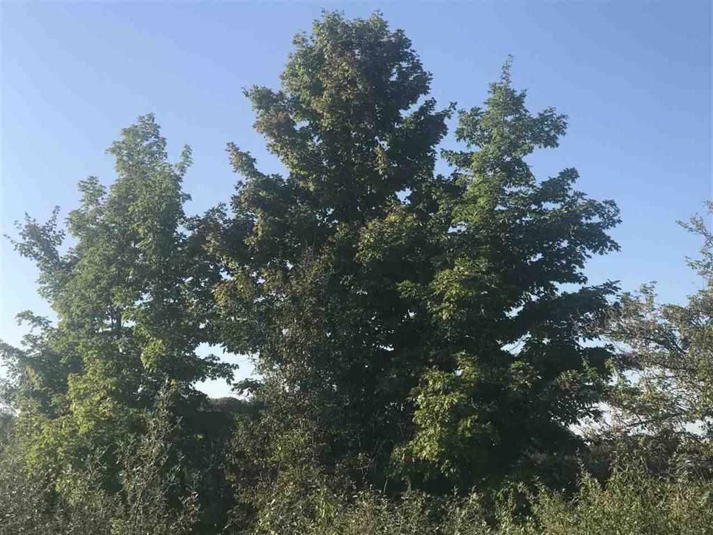 Foxview Drive Unit: Lot 7