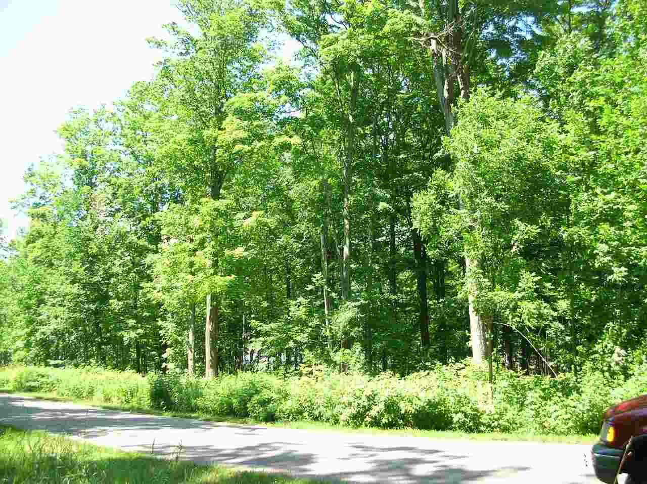 9641 & 9625 Maple Isle Court Unit: Lot # 25 & 26