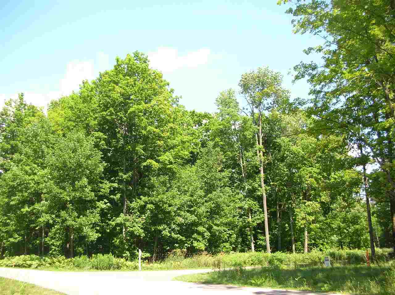 9641 & 9625 Maple Isle Court Unit: Lot # 25 & 26