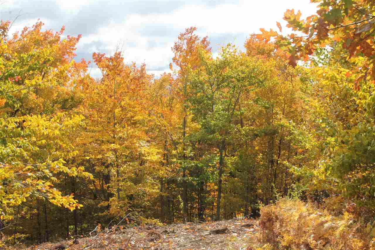 8050 Broken Ridge East