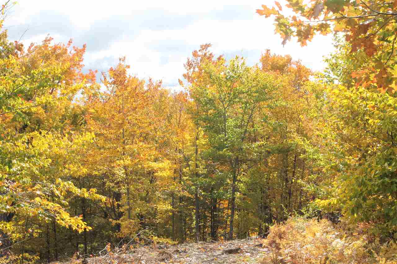 8050 Broken Ridge East