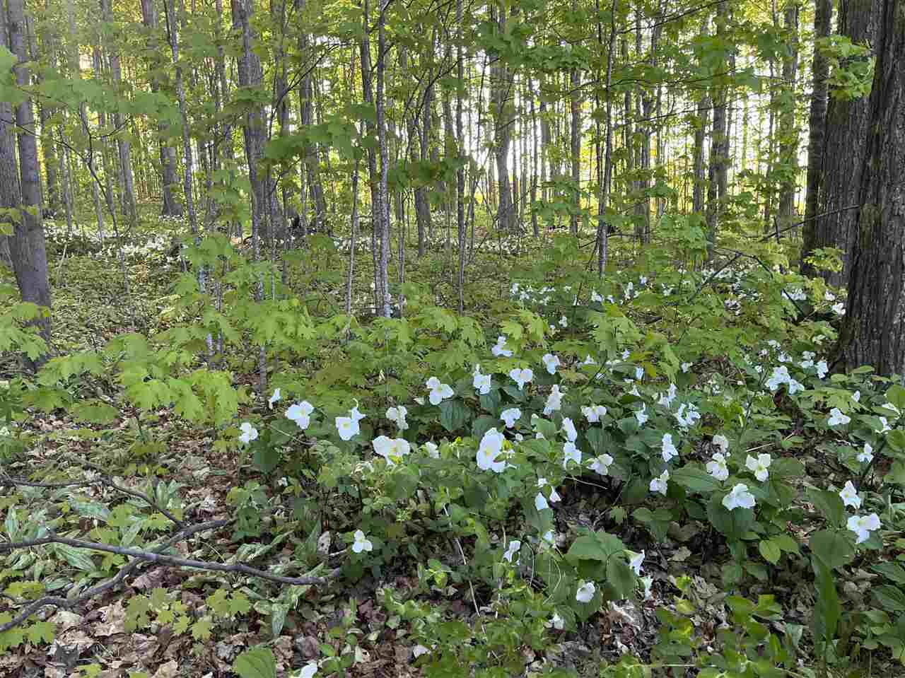 5931 Riggsville Road