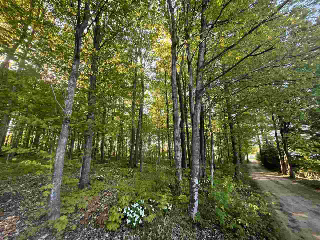 5931 Riggsville Road