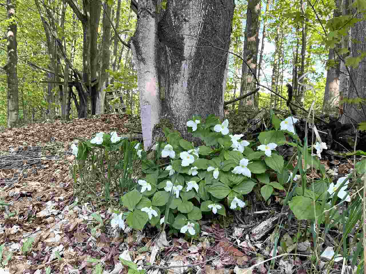 5931 Riggsville Road