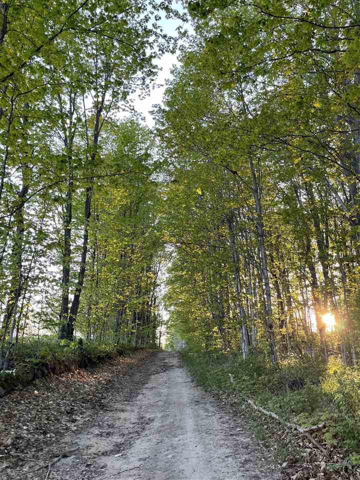 5931 Riggsville Road