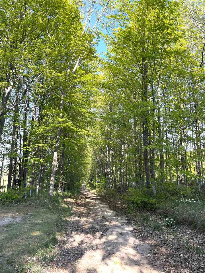 5931 Riggsville Road