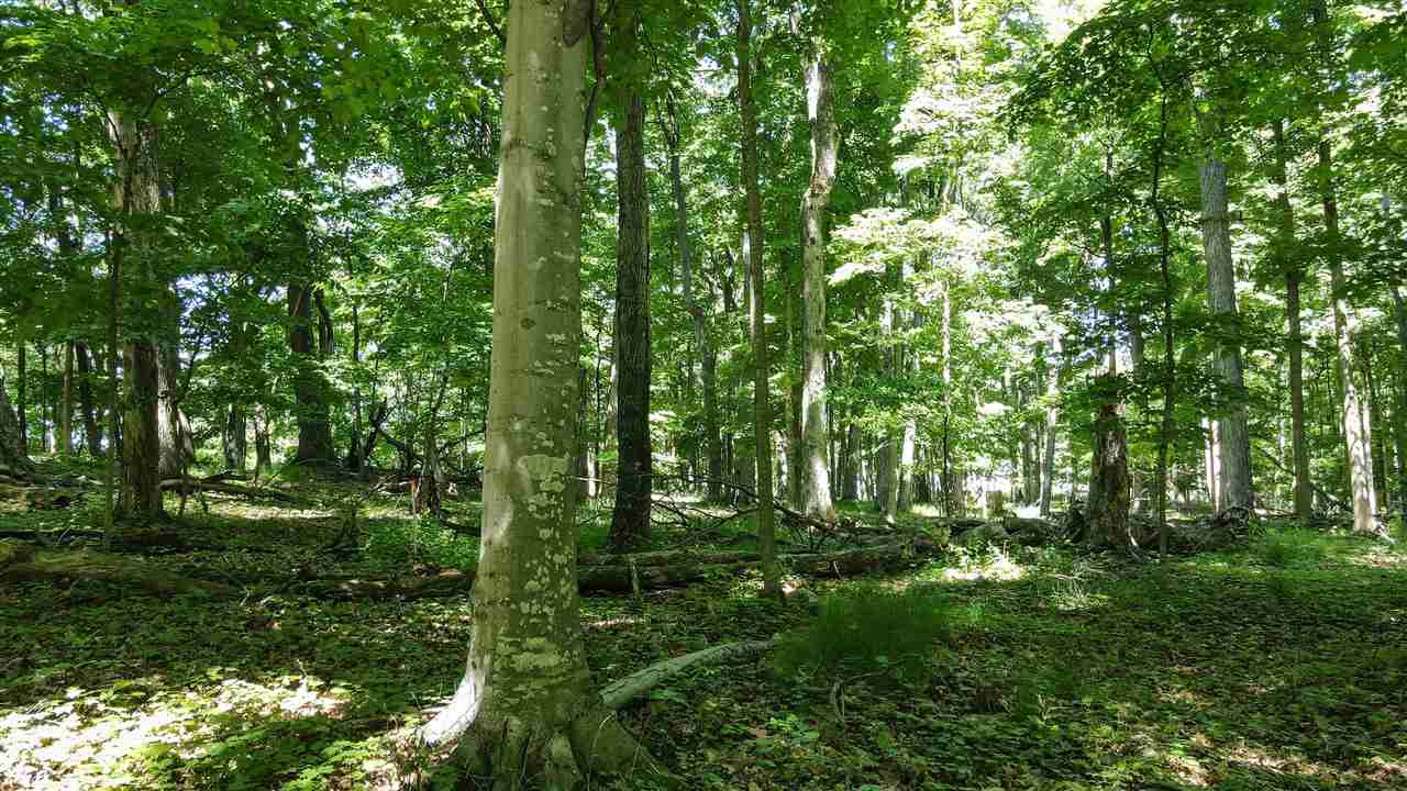 6250 Trillium Trail