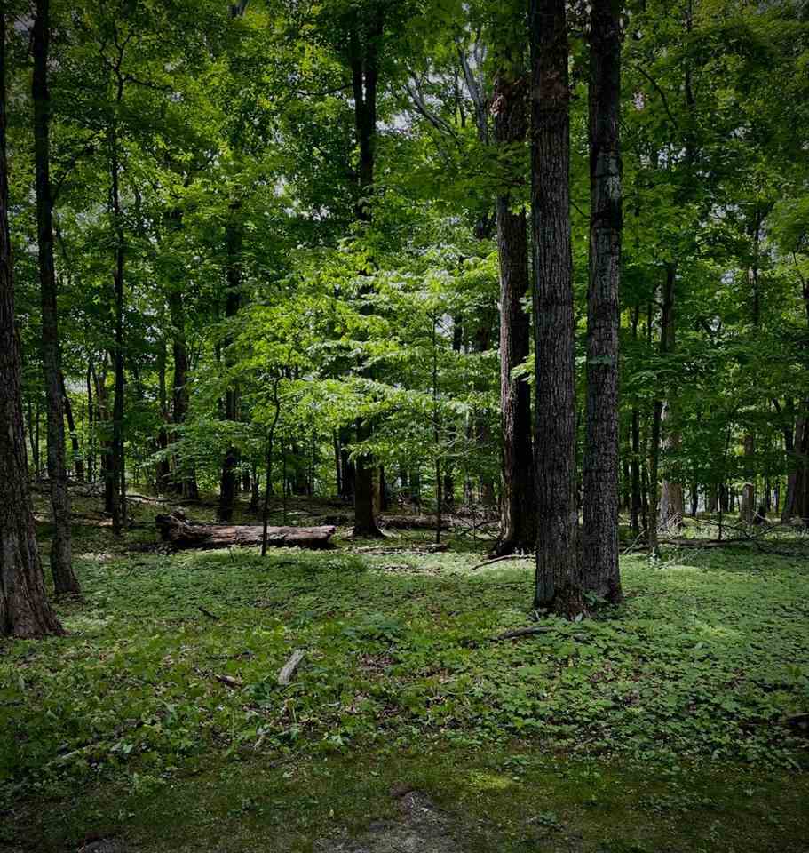 6250 Trillium Trail