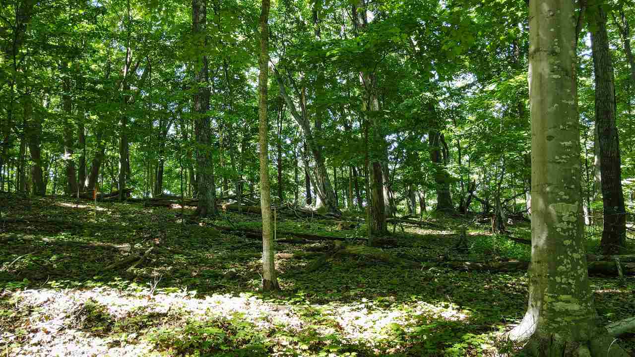 6250 Trillium Trail