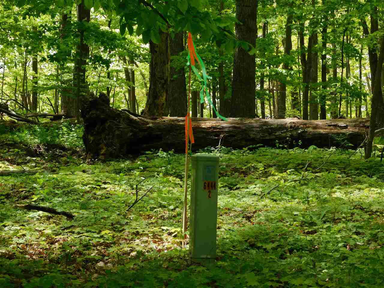 6250 Trillium Trail