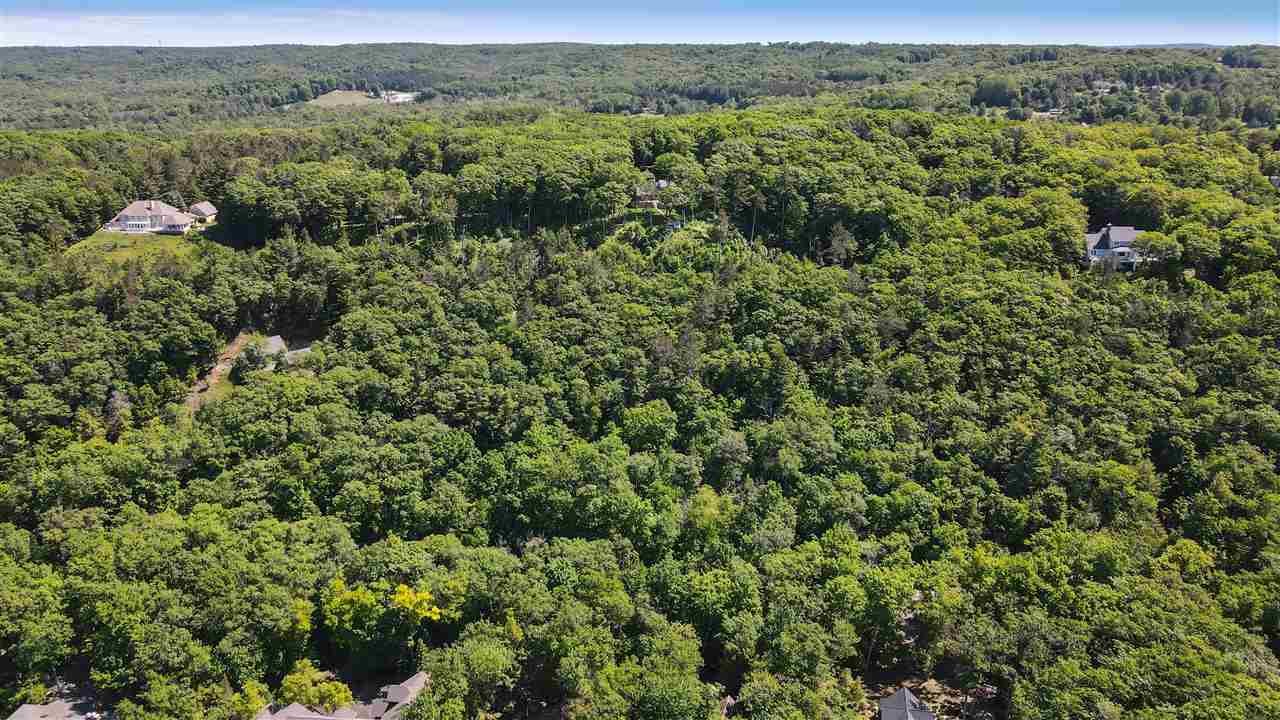 6250 Trillium Trail