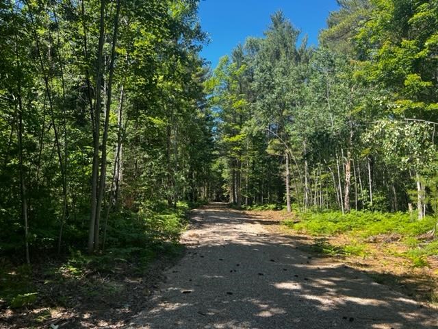1213 N M-66 Hwy
