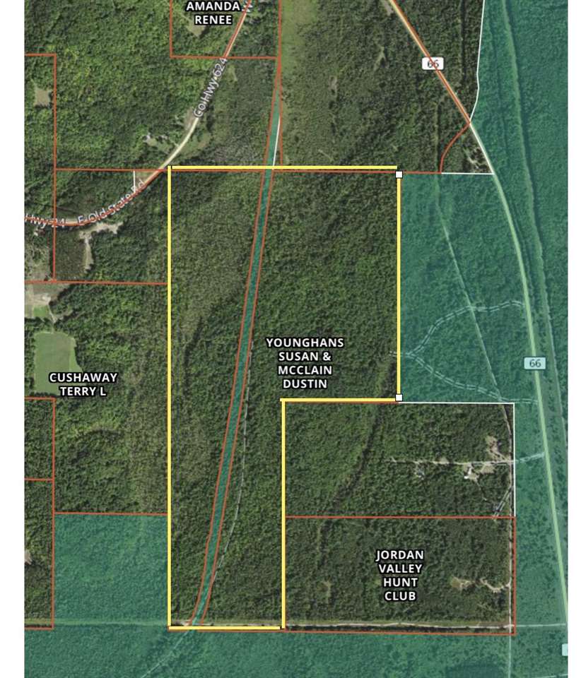 1213 N M-66 Hwy