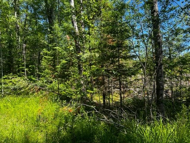1213 N M-66 Hwy