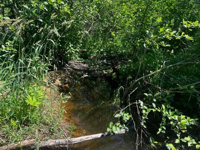 1213 N M-66 Hwy