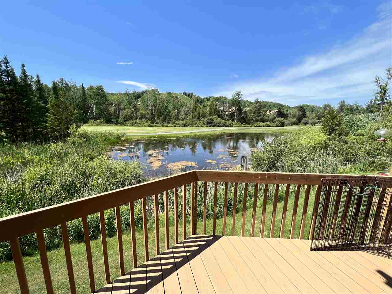 6658 Schuss Mountain Lane Unit: Unit 3250