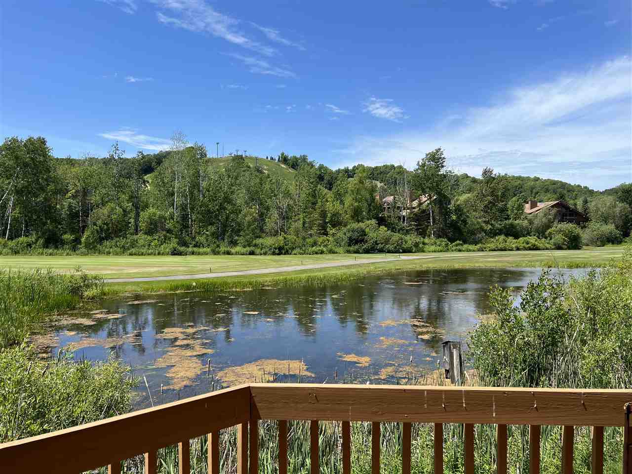 6658 Schuss Mountain Lane Unit: Unit 3250