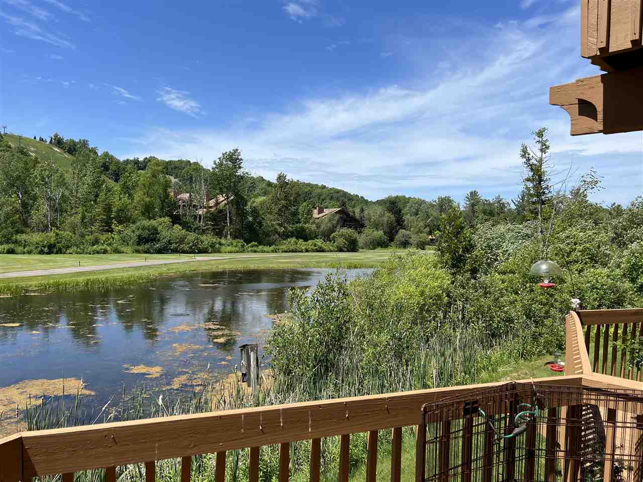 6658 Schuss Mountain Lane Unit: Unit 3250