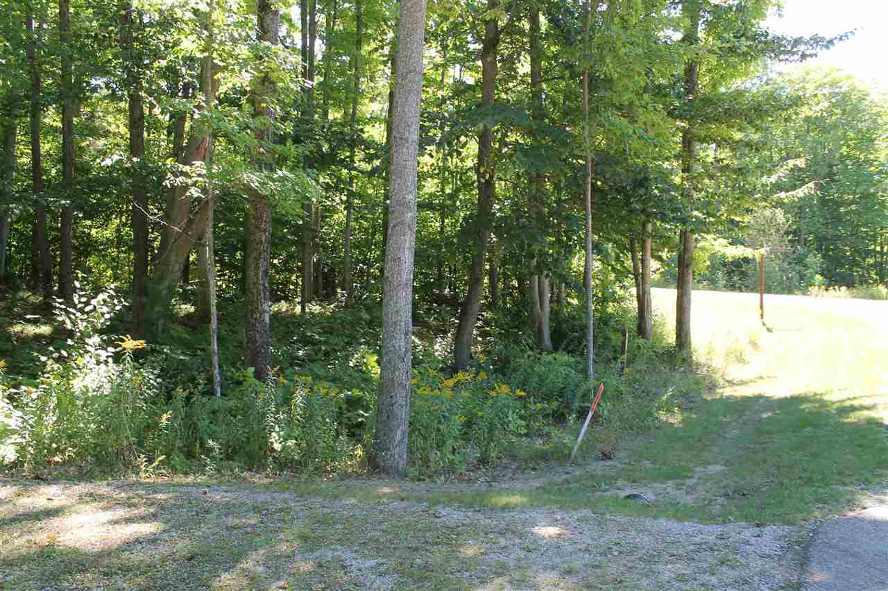 TBD Wintergreen