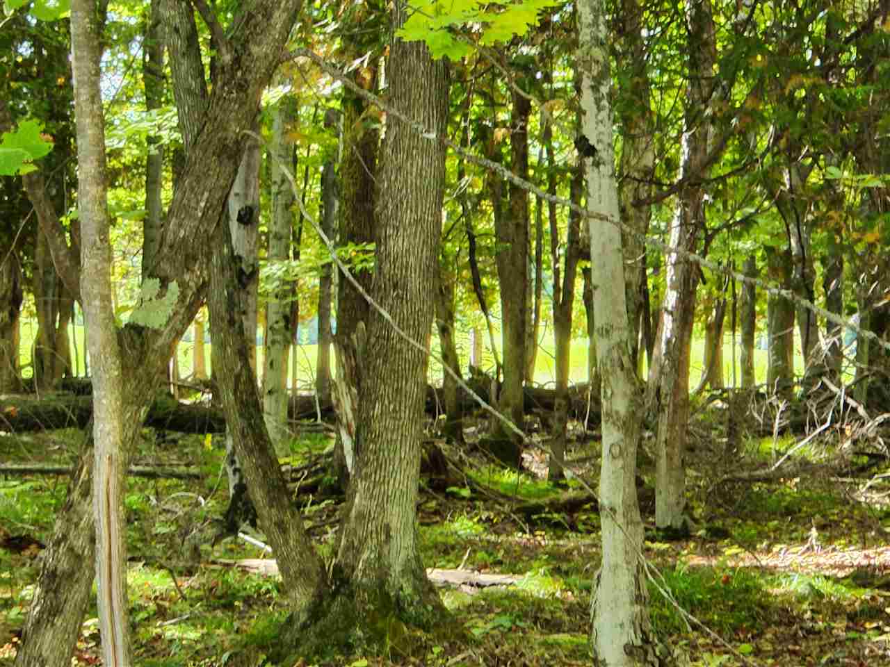 Lot 32 N Stonebridge Drive