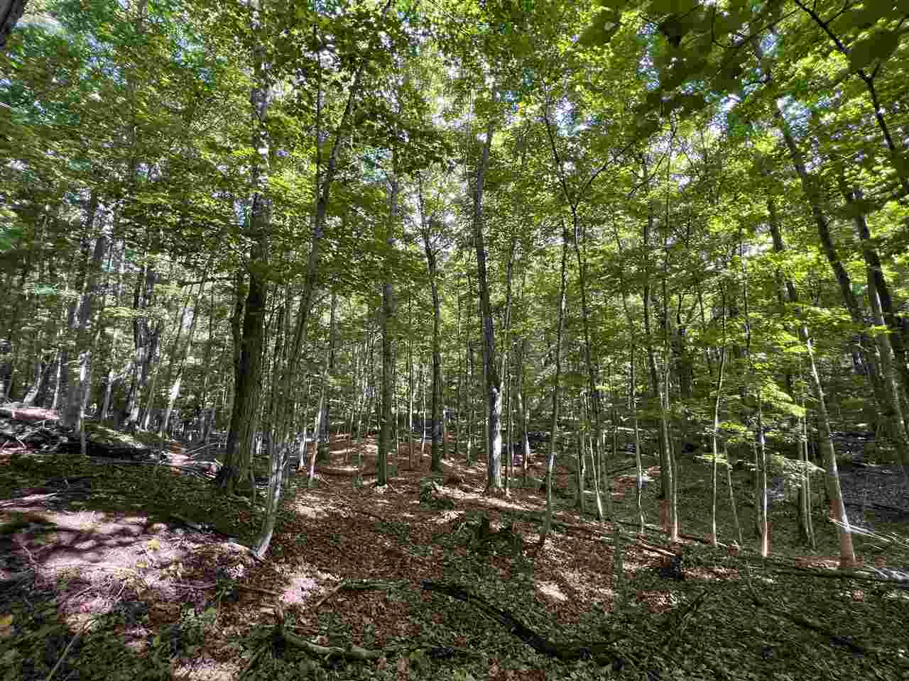 00000 Mrs Redding Trail