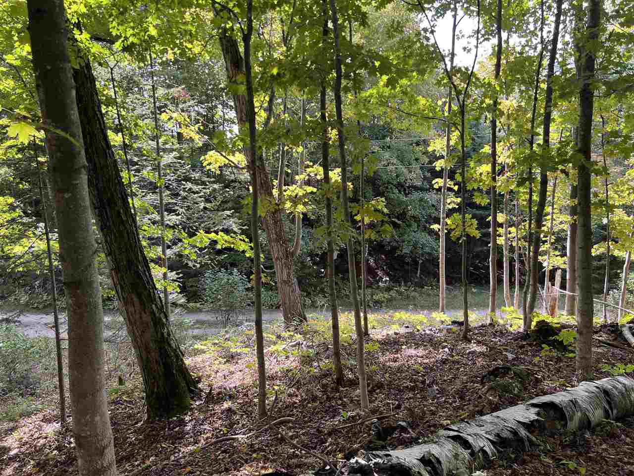 00000 Mrs Redding Trail