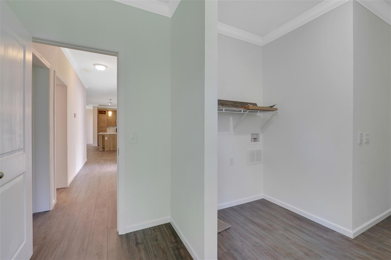 1624 Penny Lane